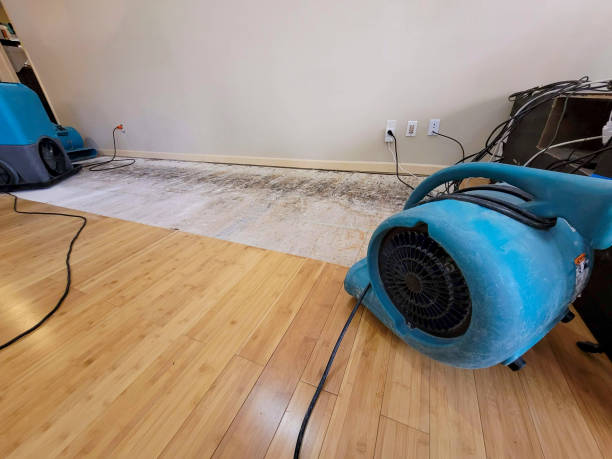 Professional Structural Drying technician working in McClure, OH