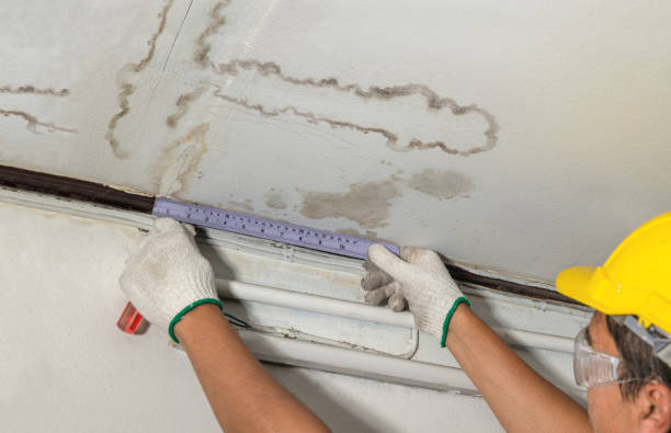 Affordable Structural Drying solutions in McClure, OH